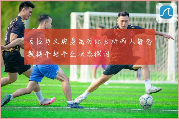 马拉与文班身高对比分析两人静态数据平起平坐状态探讨